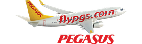 Pegasus logosu