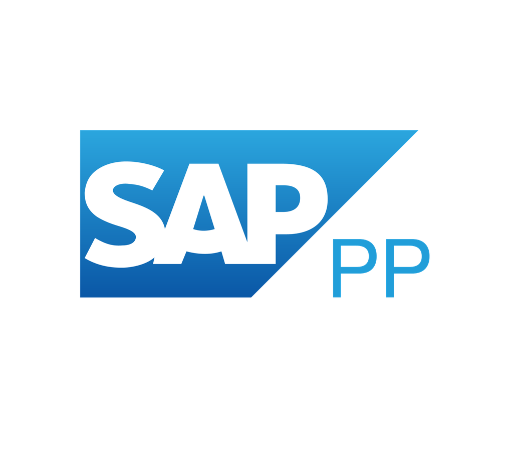 Kurumsal SAP ERP MM SD PP